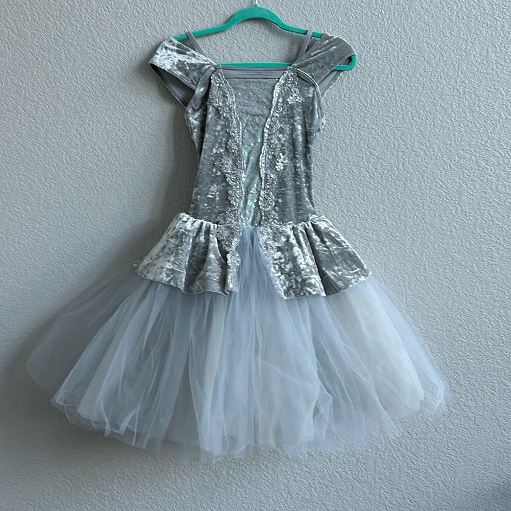 Silver/Gray Velour Ballet Costume